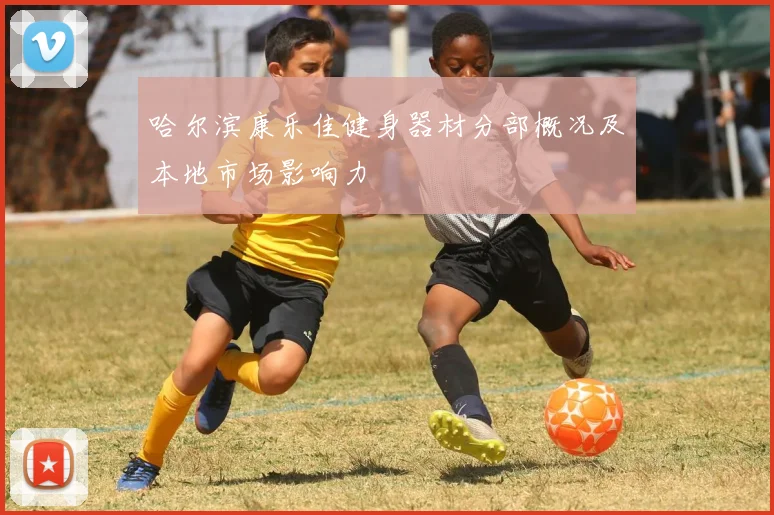哈尔滨康乐佳健身器材分部概况及本地市场影响力